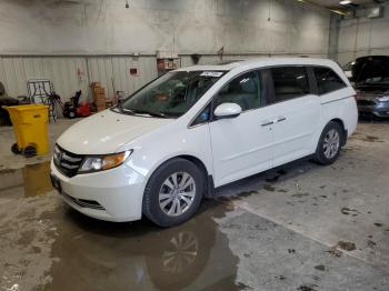  Salvage Honda Odyssey