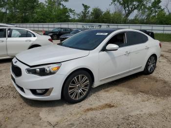  Salvage Kia Cadenza
