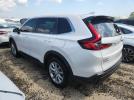 Honda Crv Ex Image 4