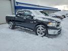 Ram 1500 Slt Image 9
