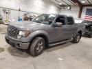 Ford F-150 Supercrew Image 1