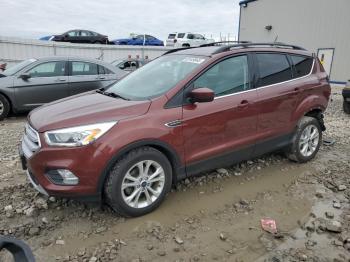  Salvage Ford Escape
