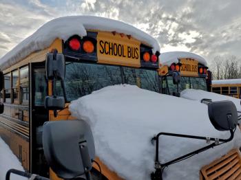  Salvage Blue Bird School Bus