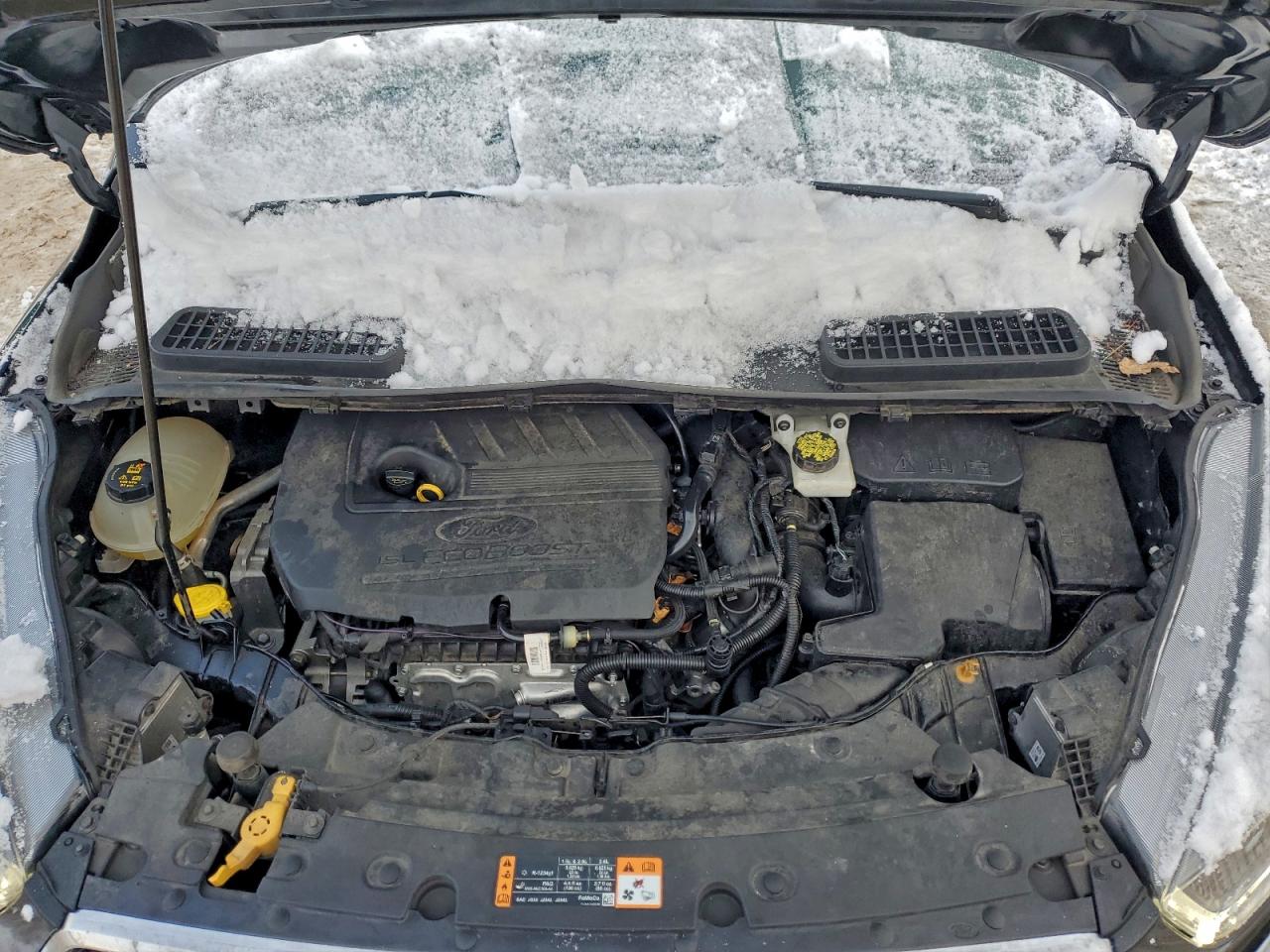 Ford Escape Sel Image 12