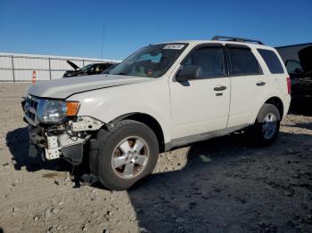  Salvage Ford Escape