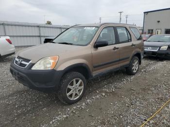  Salvage Honda Crv