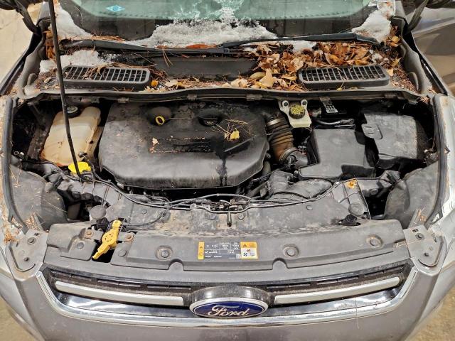 Ford Escape Titanium Image 12