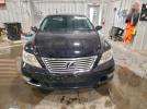 Lexus LS 460 Image 7
